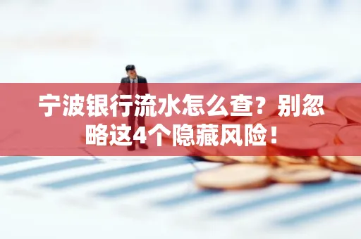 宁波银行流水怎么查？别忽略这4个隐藏风险！