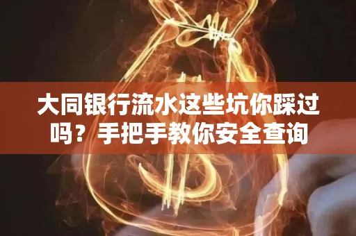 大同银行流水这些坑你踩过吗？手把手教你安全查询