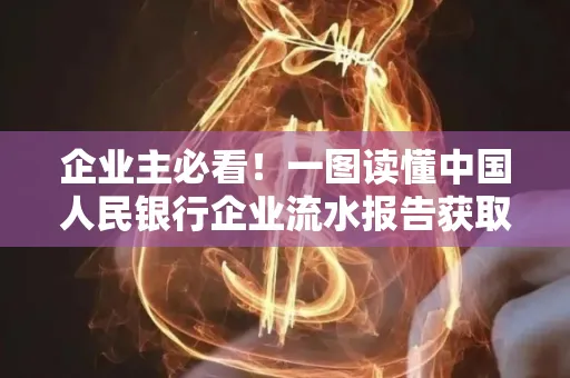 企业主必看！一图读懂中国人民银行企业流水报告获取全流程