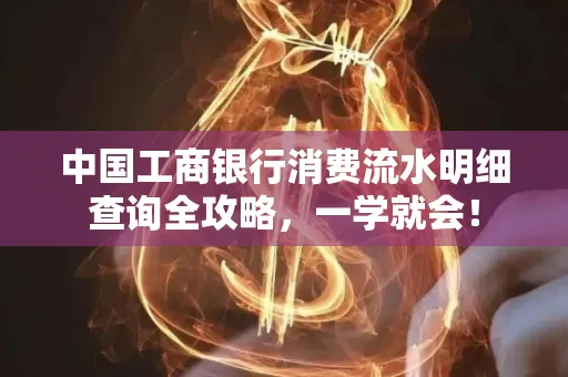 中国工商银行消费流水明细查询全攻略，一学就会！