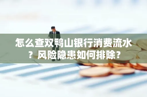 怎么查双鸭山银行消费流水？风险隐患如何排除？