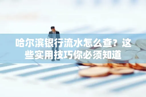 哈尔滨银行流水怎么查？这些实用技巧你必须知道