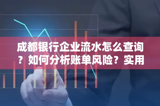 成都银行企业流水怎么查询？如何分析账单风险？实用指南