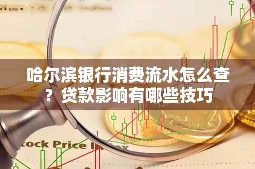 哈尔滨银行消费流水怎么查？贷款影响有哪些技巧