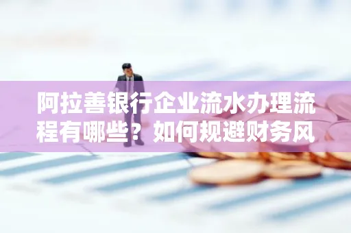 阿拉善银行企业流水办理流程有哪些？如何规避财务风险提升效率？