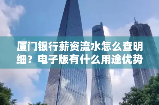 厦门银行薪资流水怎么查明细？电子版有什么用途优势