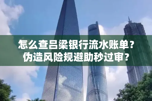 怎么查吕梁银行流水账单？伪造风险规避助秒过审？